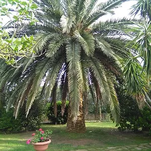 La Palma , Magliano in Toscana Italia